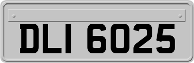 DLI6025