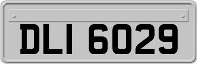 DLI6029