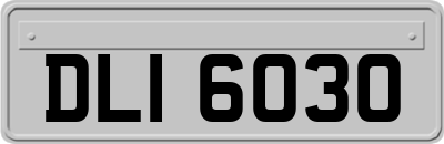 DLI6030