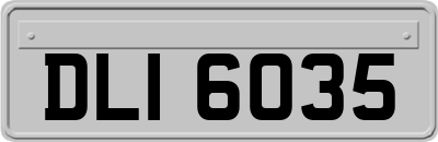 DLI6035