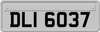 DLI6037