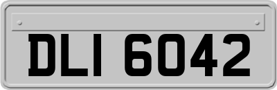 DLI6042