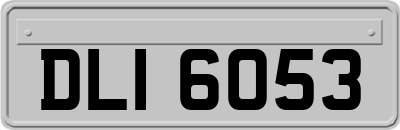 DLI6053