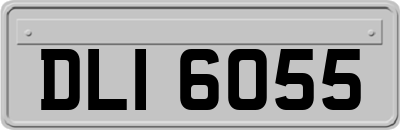 DLI6055