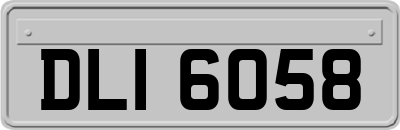 DLI6058