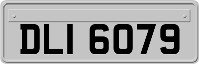 DLI6079