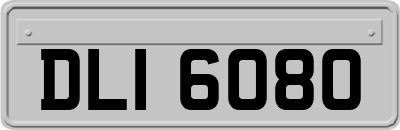 DLI6080