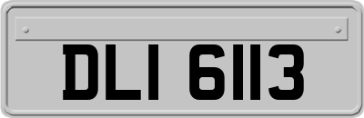DLI6113