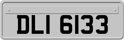 DLI6133