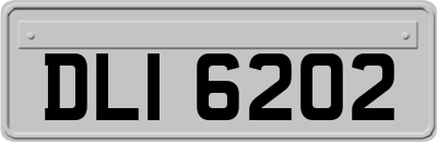 DLI6202
