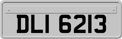 DLI6213