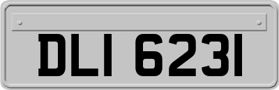 DLI6231