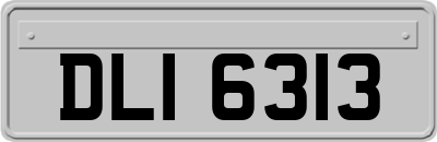 DLI6313