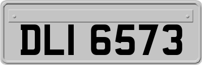 DLI6573