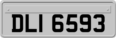 DLI6593