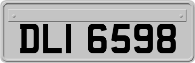 DLI6598