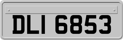 DLI6853