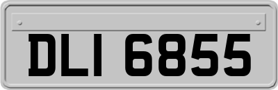 DLI6855