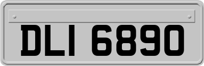 DLI6890