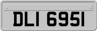 DLI6951