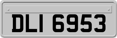DLI6953