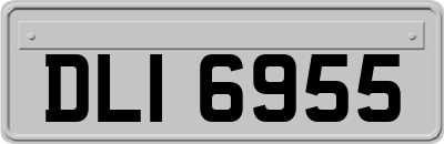 DLI6955