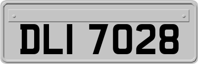 DLI7028