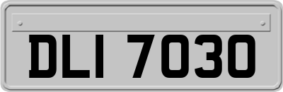 DLI7030