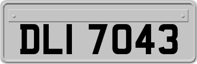 DLI7043
