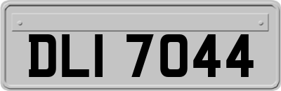 DLI7044