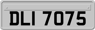DLI7075