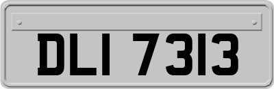 DLI7313