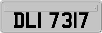 DLI7317