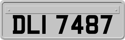 DLI7487