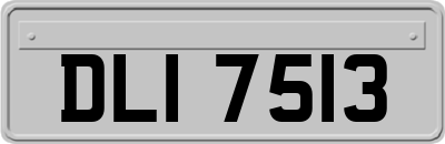 DLI7513