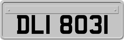 DLI8031