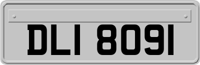 DLI8091