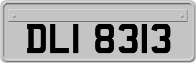 DLI8313