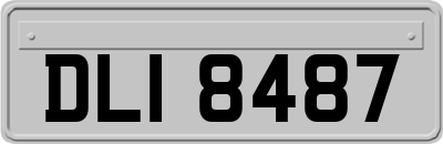 DLI8487