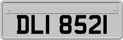 DLI8521
