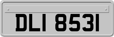 DLI8531