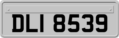DLI8539