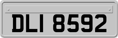 DLI8592