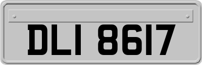 DLI8617