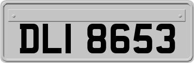 DLI8653