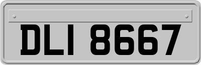 DLI8667