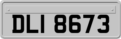 DLI8673