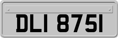 DLI8751