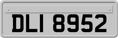 DLI8952