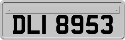 DLI8953